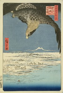 Eagle Over 100,000 Acre Plain at Susaki, Fukagawa ("Juman-tsubo"), a "100 Views of Edo" ("Meisho Edo hyakkei"), pub. Írta: Uoya Eikichi, 1857, (színes fatömbnyomat) (lásd: 65424) ) )